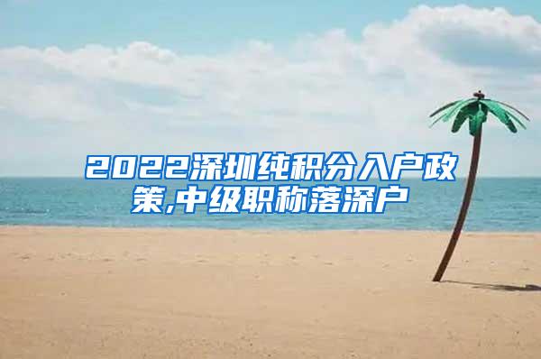 2022深圳纯积分入户政策,中级职称落深户