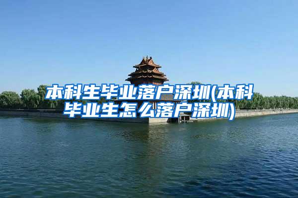 本科生毕业落户深圳(本科毕业生怎么落户深圳)