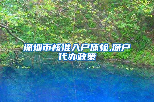 深圳市核准入户体检,深户代办政策