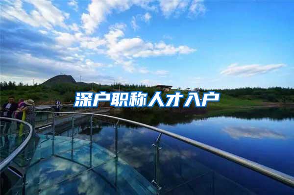 深户职称人才入户