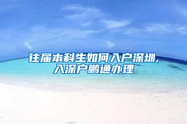 往届本科生如何入户深圳,入深户鹏通办理