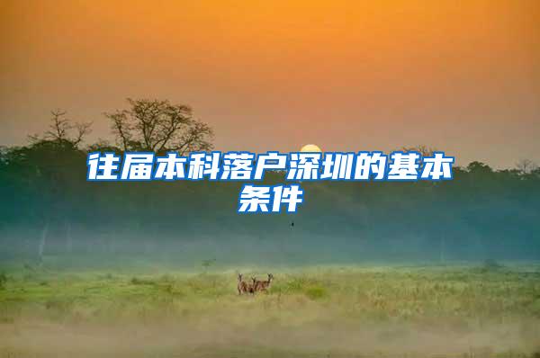 往届本科落户深圳的基本条件