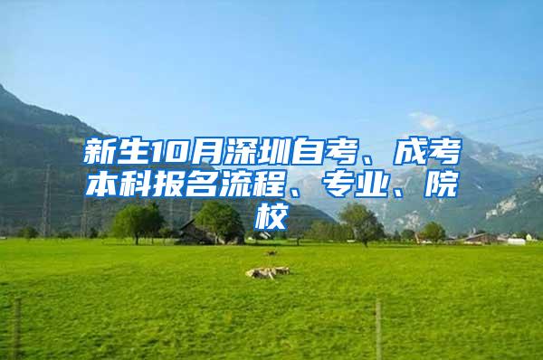 新生10月深圳自考、成考本科报名流程、专业、院校