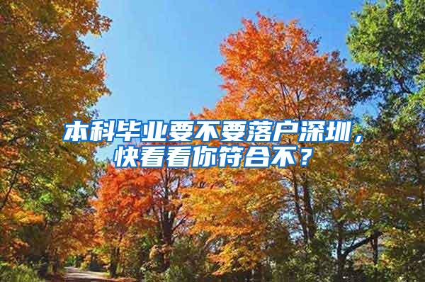本科毕业要不要落户深圳，快看看你符合不？