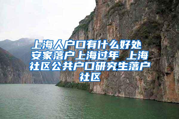 上海人户口有什么好处 安家落户上海过年 上海社区公共户口研究生落户社区