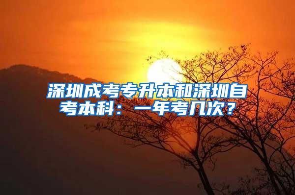 深圳成考专升本和深圳自考本科：一年考几次？