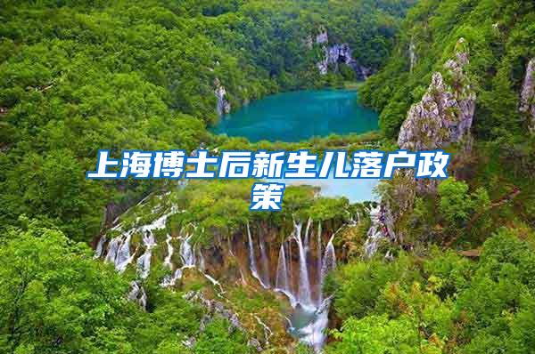 上海博士后新生儿落户政策