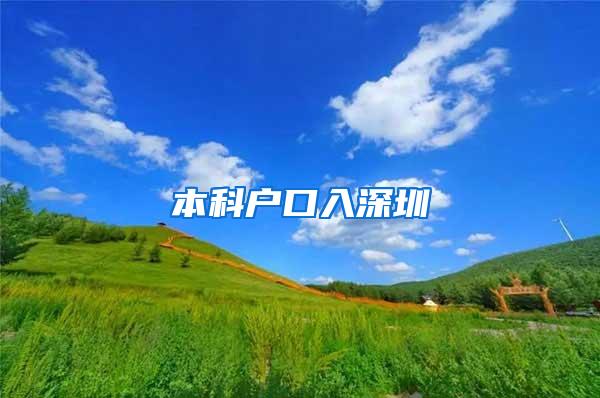本科户口入深圳