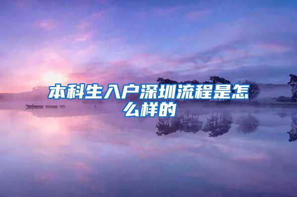 本科生入户深圳流程是怎么样的