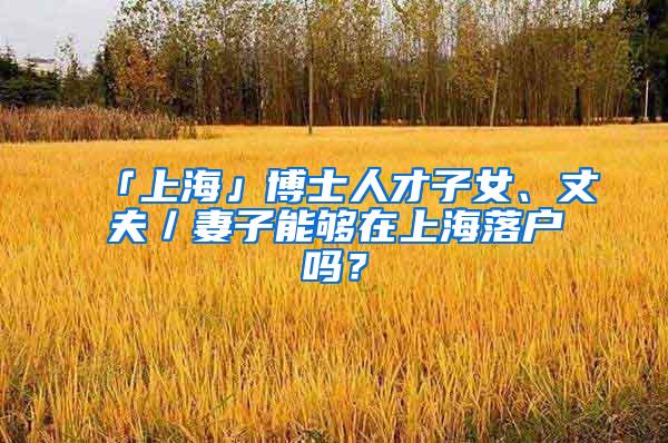 「上海」博士人才子女、丈夫／妻子能够在上海落户吗？