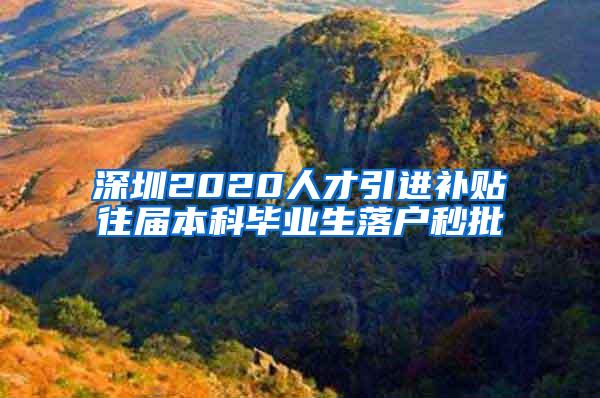 深圳2020人才引进补贴往届本科毕业生落户秒批