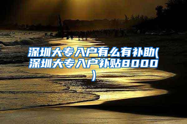 深圳大专入户有么有补助(深圳大专入户补贴8000)