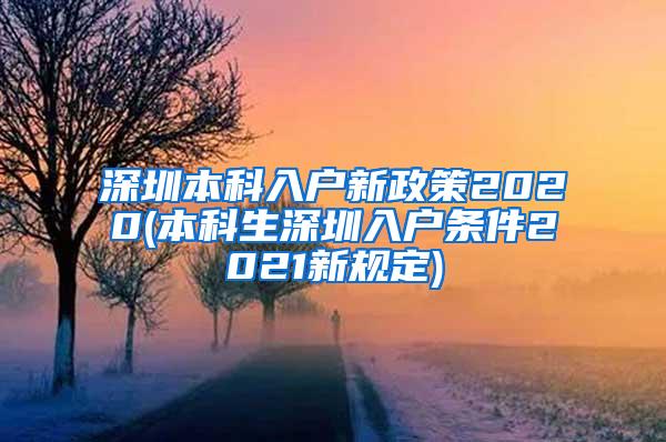 深圳本科入户新政策2020(本科生深圳入户条件2021新规定)