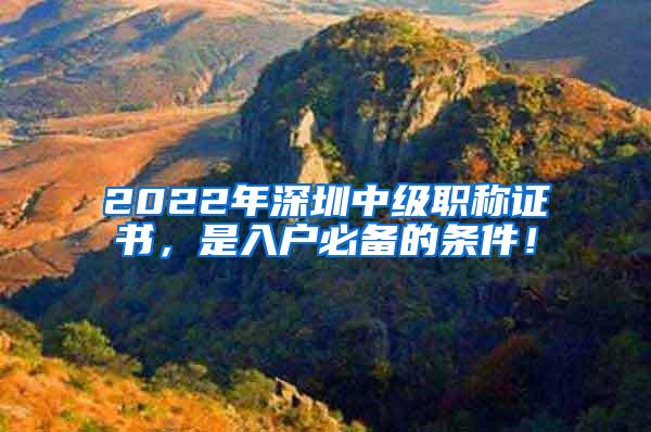 2022年深圳中级职称证书，是入户必备的条件！