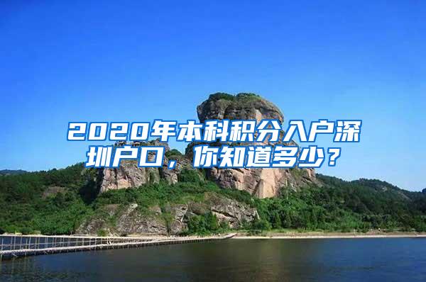 2020年本科积分入户深圳户口，你知道多少？