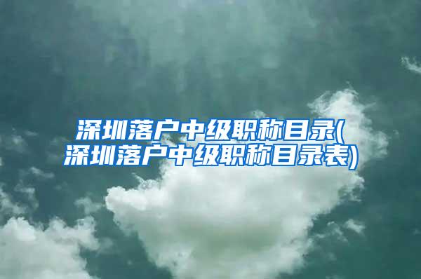 深圳落户中级职称目录(深圳落户中级职称目录表)