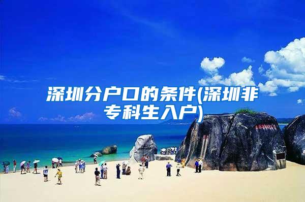 深圳分户口的条件(深圳非专科生入户)