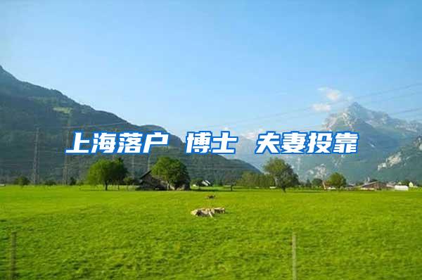上海落户 博士 夫妻投靠