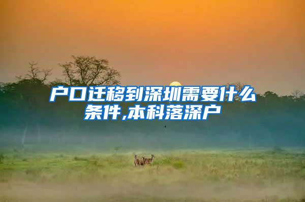户口迁移到深圳需要什么条件,本科落深户
