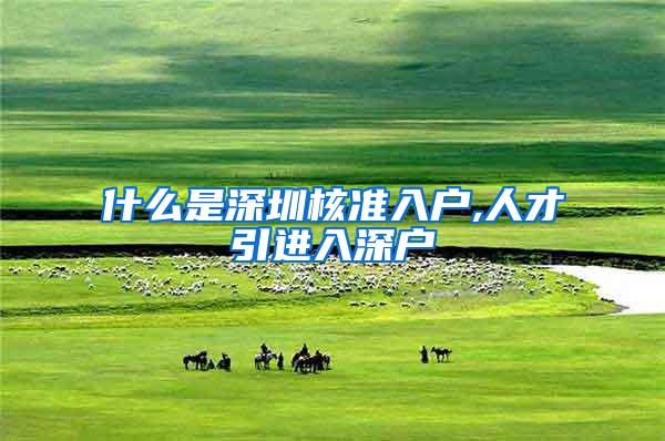什么是深圳核准入户,人才引进入深户
