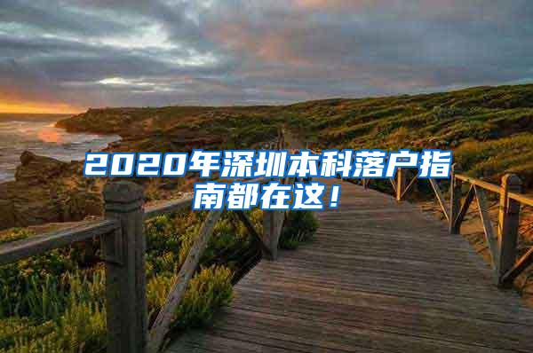 2020年深圳本科落户指南都在这！