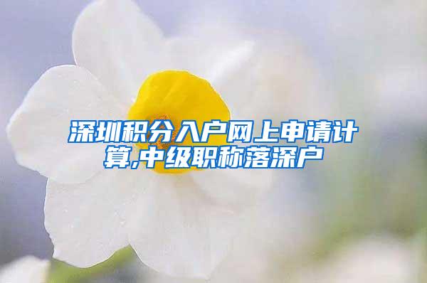 深圳积分入户网上申请计算,中级职称落深户