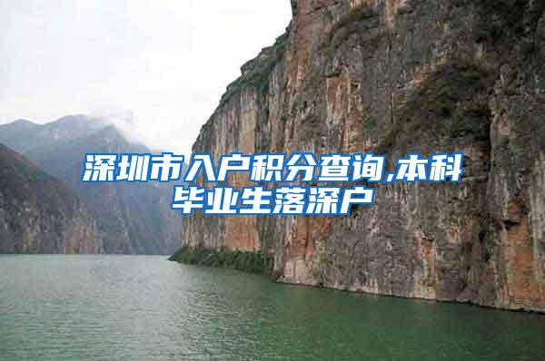 深圳市入户积分查询,本科毕业生落深户