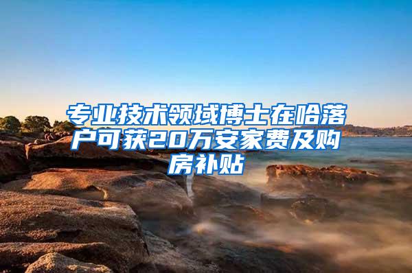 专业技术领域博士在哈落户可获20万安家费及购房补贴
