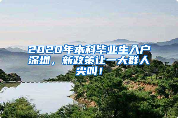 2020年本科毕业生入户深圳，新政策让一大群人尖叫！