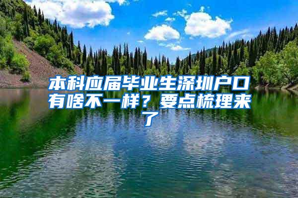 本科应届毕业生深圳户口有啥不一样？要点梳理来了