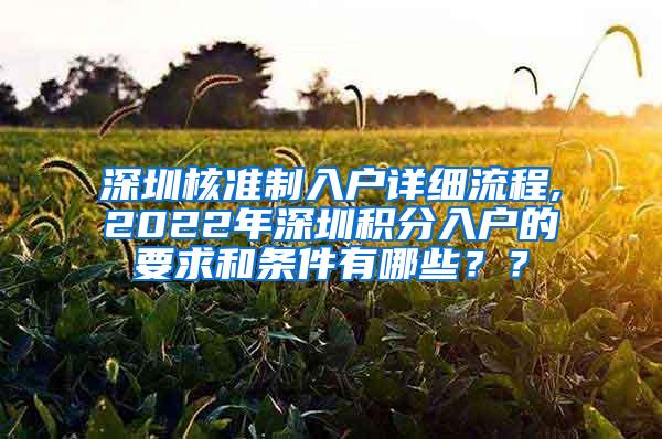 深圳核准制入户详细流程,2022年深圳积分入户的要求和条件有哪些？？