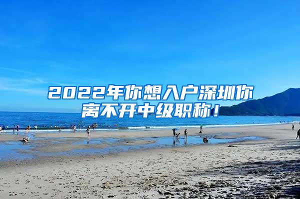 2022年你想入户深圳你离不开中级职称！