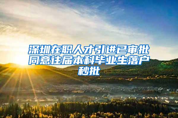 深圳在职人才引进已审批同意往届本科毕业生落户秒批