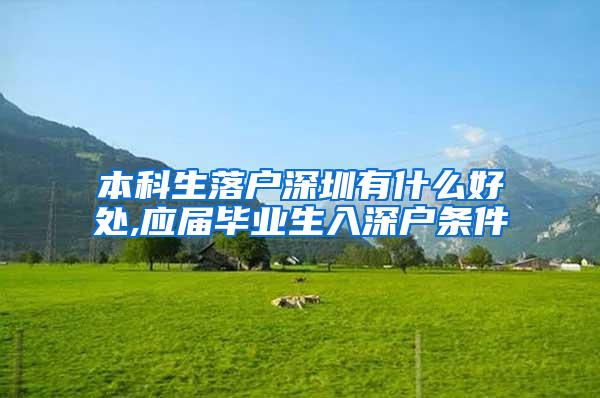 本科生落户深圳有什么好处,应届毕业生入深户条件