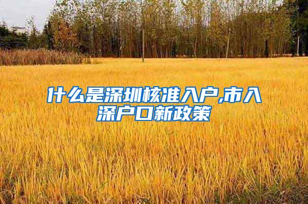 什么是深圳核准入户,市入深户口新政策
