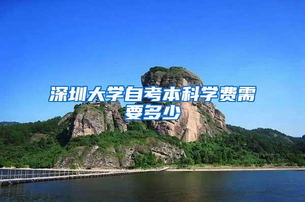 深圳大学自考本科学费需要多少