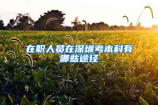 在职人员在深圳考本科有哪些途径