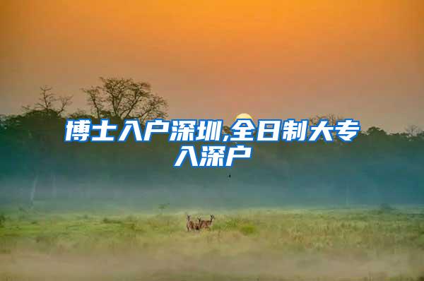 博士入户深圳,全日制大专入深户