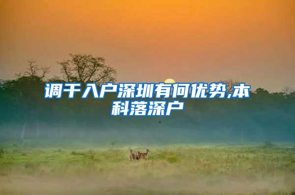 调干入户深圳有何优势,本科落深户