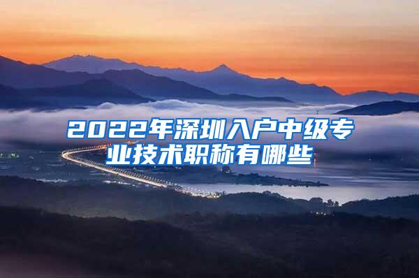 2022年深圳入户中级专业技术职称有哪些
