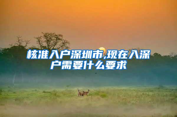 核准入户深圳市,现在入深户需要什么要求