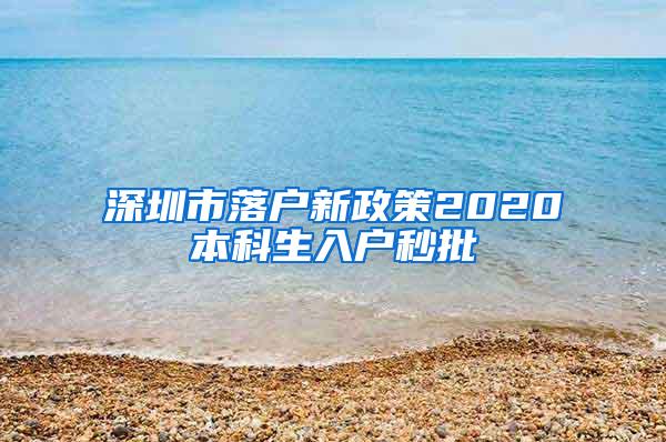 深圳市落户新政策2020本科生入户秒批