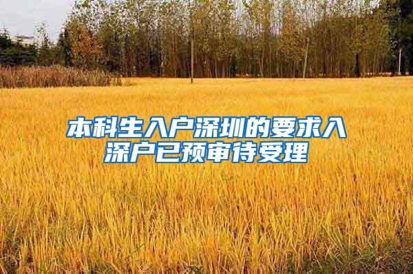 本科生入户深圳的要求入深户已预审待受理