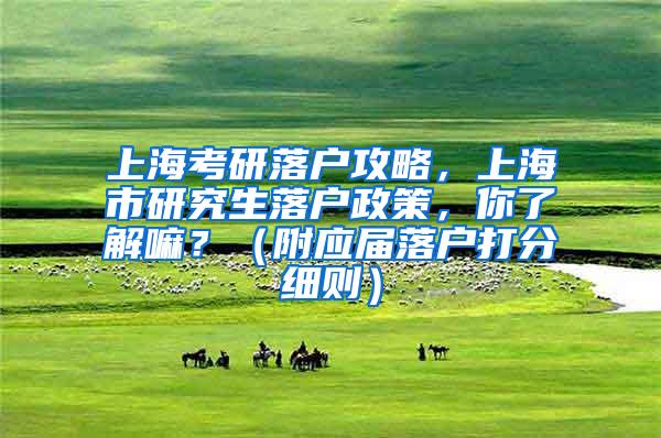 上海考研落户攻略，上海市研究生落户政策，你了解嘛？（附应届落户打分细则）