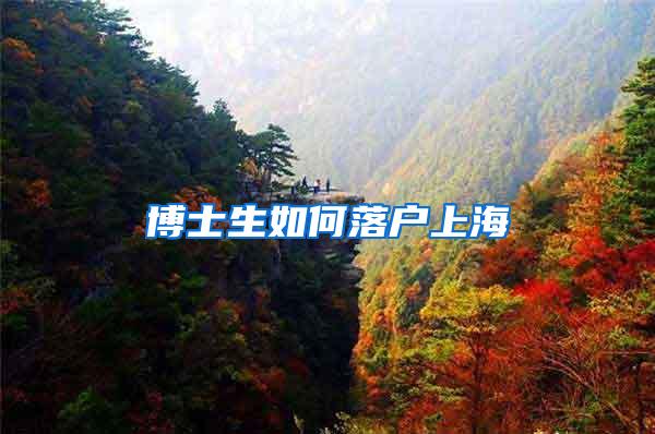 博士生如何落户上海