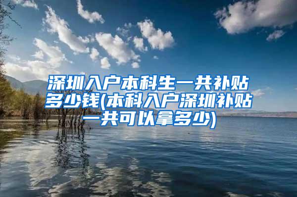 深圳入户本科生一共补贴多少钱(本科入户深圳补贴一共可以拿多少)