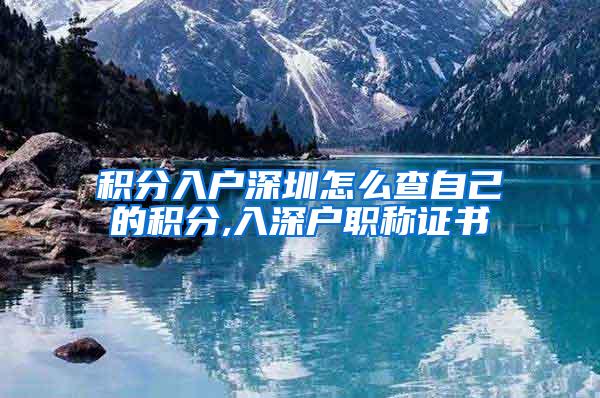 积分入户深圳怎么查自己的积分,入深户职称证书