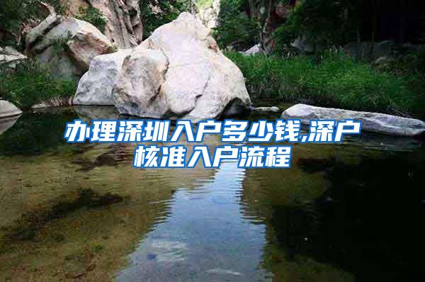 办理深圳入户多少钱,深户核准入户流程
