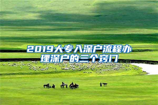 2019大专入深户流程办理深户的三个窍门