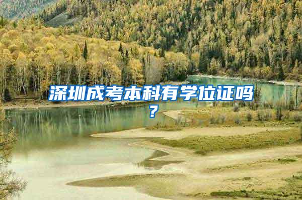 深圳成考本科有学位证吗？